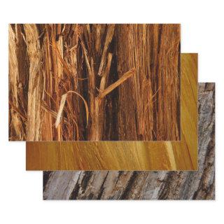 Cedar Textured Wooden Bark Look  Sheets