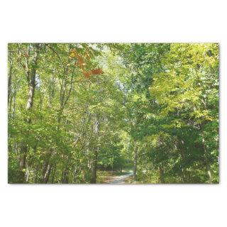 Centennial Wooded Path I Ellicott City Nature Tissue Paper