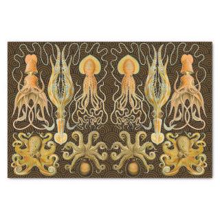 Cephalopod Octopus Squid Marine Nature Tissue Paper