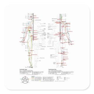 Chart of Human Meridians Square Sticker