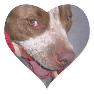 Cheeky Pitbull Heart Sticker