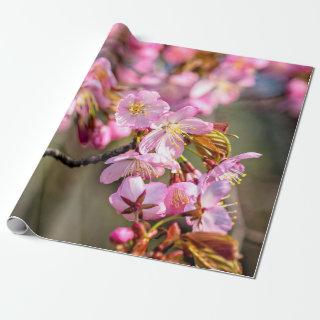 Cheerful Cascade Of Sakura Flowers On A Spring Day