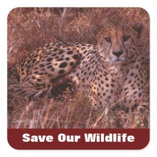 Cheetah Stare Save Our Wildlife Square Sticker