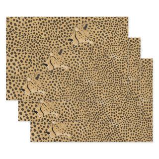 Cheetahs  Sheets