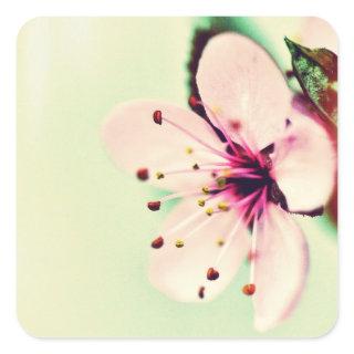 Cherry Blossom Square Sticker