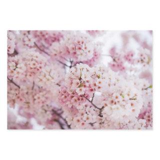 Cherry Blossoms  Sheets