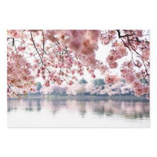 Cherry Blossoms  Sheets