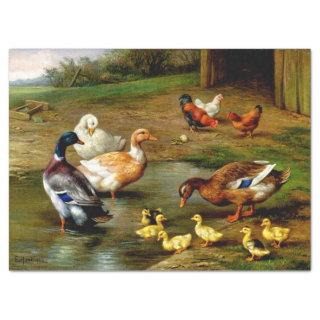 Chickens, Ducks And Ducklings At The Farm Tissue Paper