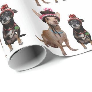 Chihuahua dogs in hats