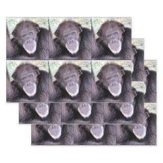 Chimpanzee All Occasion  Sheets