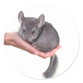 chinchilla classic round sticker