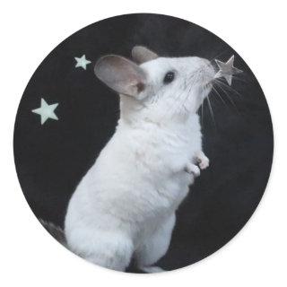 Chinchilla star classic round sticker