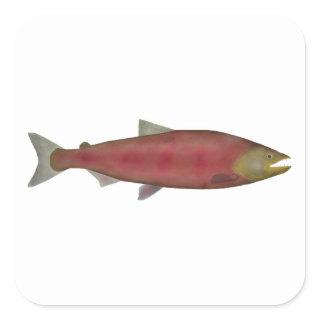 Chinook Salmon - Spawn Phase Square Sticker