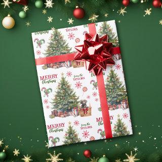 Chocolate Labrador Retriever Under the Tree