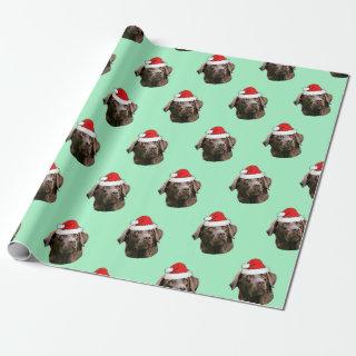 Chocolate Labrador with Santa Hat