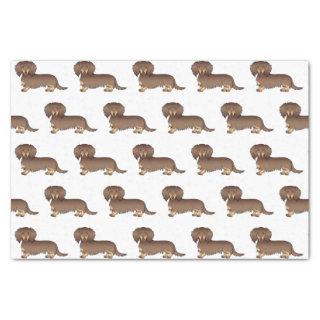 Chocolate & Tan Long Hair Dachshund Dog Pattern Tissue Paper