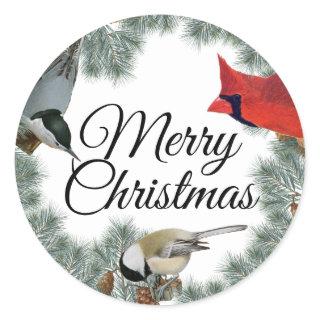 Christmas Bird Cardinal Nuthatch Chickadee Pine  Classic Round Sticker