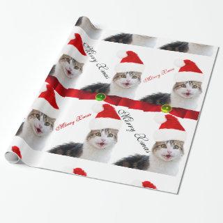 CHRISTMAS CAT WITH SANTA CLAUS HAT AND RED RIBBONS