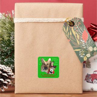 Christmas German Shepherd & Toy Reindeer Stickers