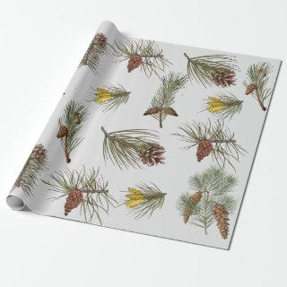 Christmas Nature Themed Pine Cones and Branches