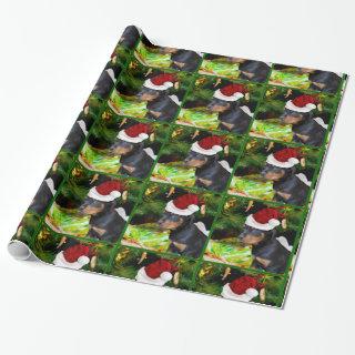 Christmas Rottweiler puppy