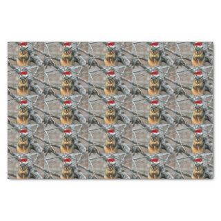 Christmas Squirrel Tissue Paper