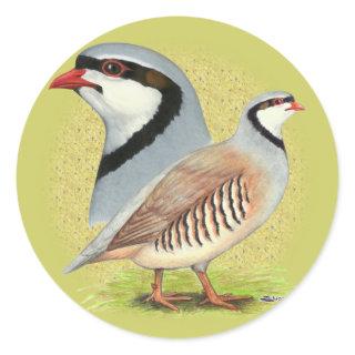 Chukar Partridge Combo Classic Round Sticker