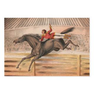 Circus horse and daredevil flying over a fence  sheets