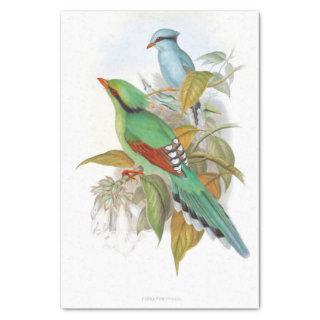 Cissa Venatoria Decoupage  Tissue Paper