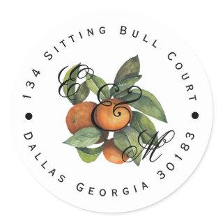 Citrus Botanical Orange Greenery Classic Round Sticker