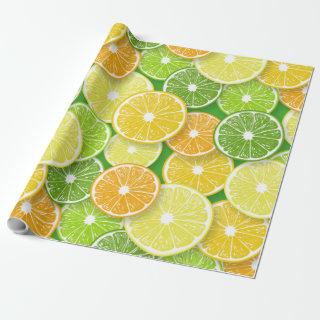 Citrus fruit slices pop art 3