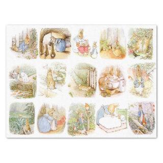 Classic Beatrix Potter  Tissue Paper