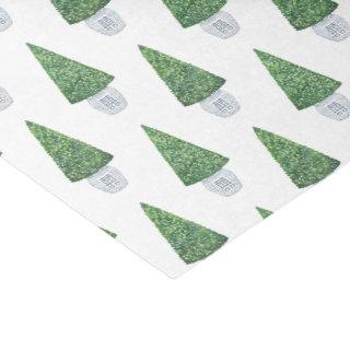 Classic Boxwood Topiary And Blue White Chinese Pot Tissue Paper