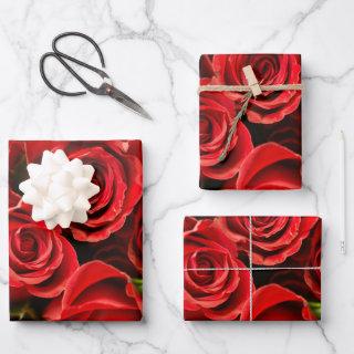 Classic Red Roses  Sheet Set