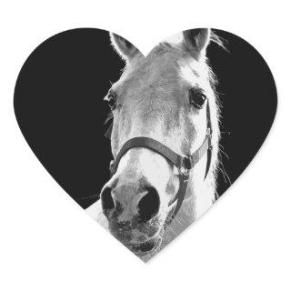 Close-up Black White Horse in Night Heart Sticker