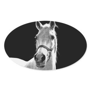 Close-up Black White Horse in Night Oval Sticker