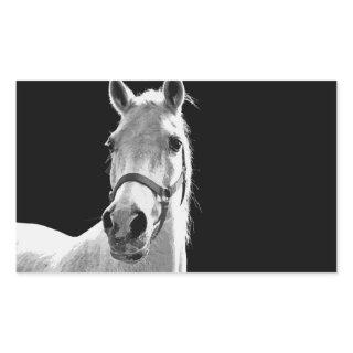 Close-up Black White Horse in Night Rectangular Sticker