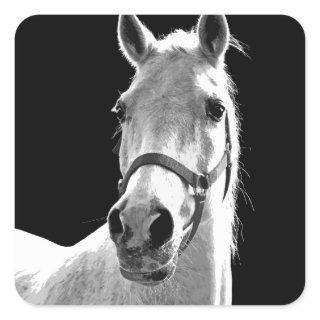 Close-up Black White Horse in Night Square Sticker