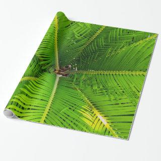 Close-up Green Palm Tree Leaves