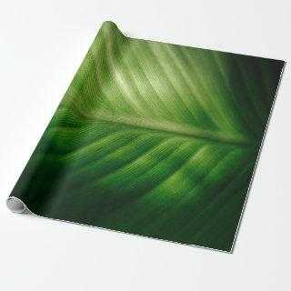 Close-up of green elaf
