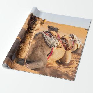 Close-up on Camel in Oman desert