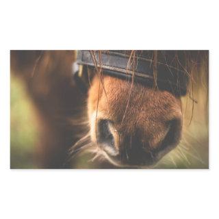 Closeup of a Cute Brown Horse Nose Rectangular Sticker