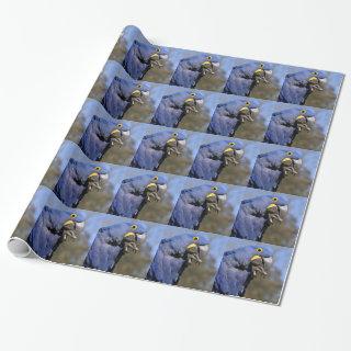 Closeup of Hyacinth macaw