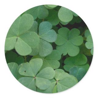 Clover Sticker