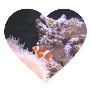 Clownfish Sticker