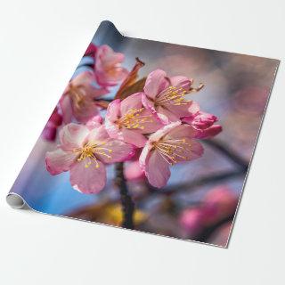 Cluster Of Sakura Cherry Blossoms In The Wind