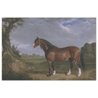 Clydesdale Stallion (Thoroughbred Horse) (Animal) Tissue Paper