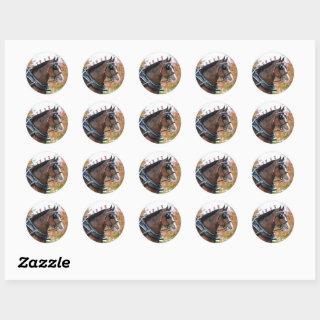 Clydesdale Sticker