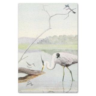 Coastal heron, kingfisher and sandpiper watercolor tissue paper