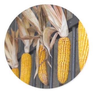cob on gate classic round sticker